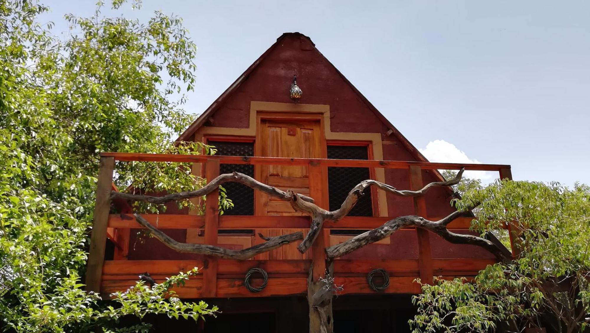 Elephant Trail Guesthouse And Backpackers Касане Номер фото