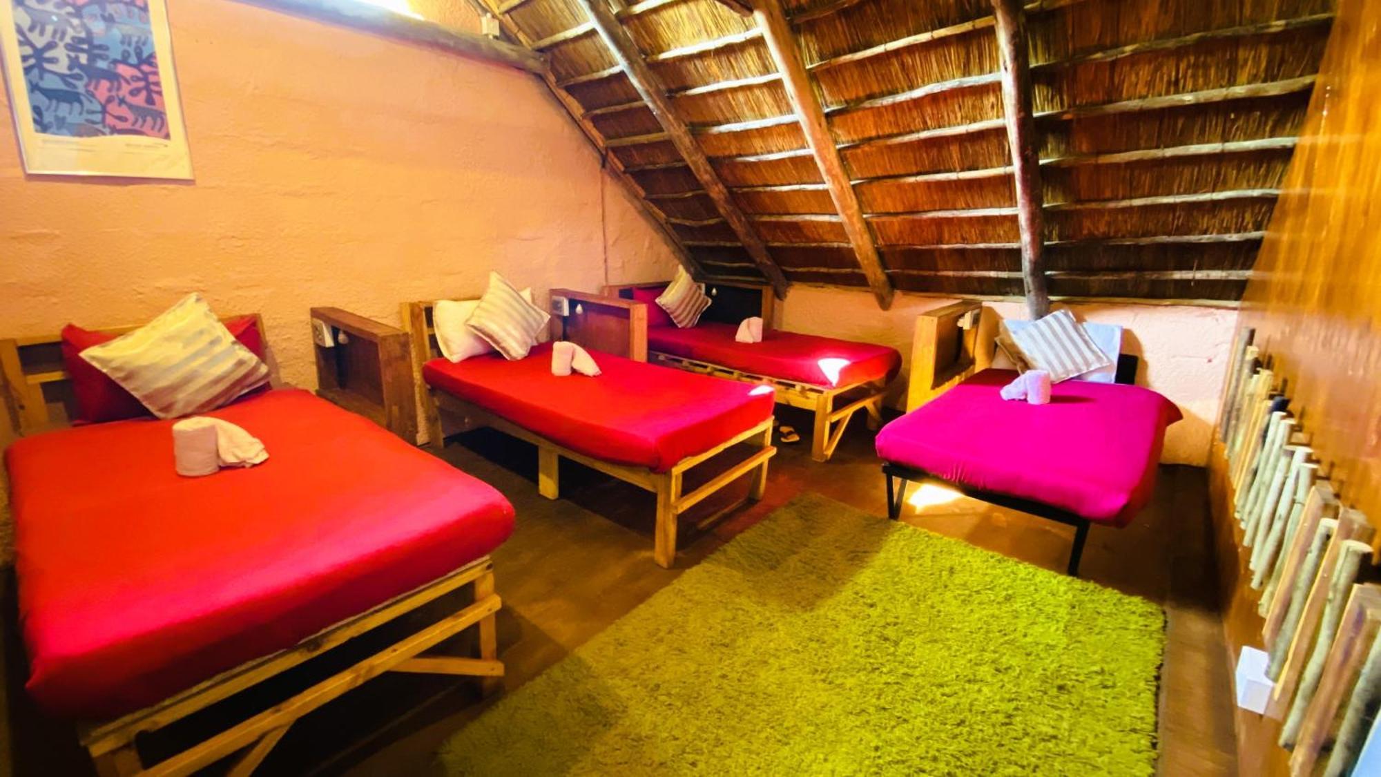 Elephant Trail Guesthouse And Backpackers Касане Номер фото